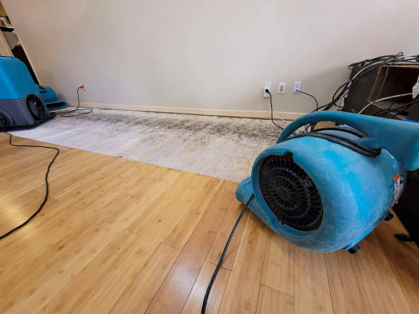 Professional Basement Flood Cleanup technician working in Denver, CO